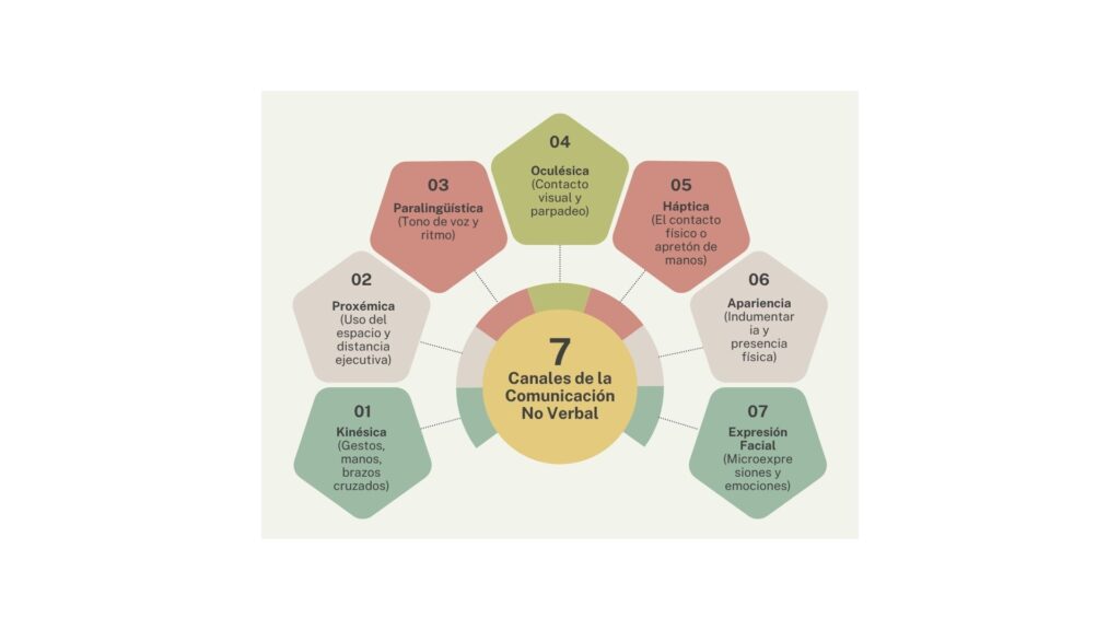 Infografía detallada de los canales de la comunicación no verbal aplicados al liderazgo ejecutivo
